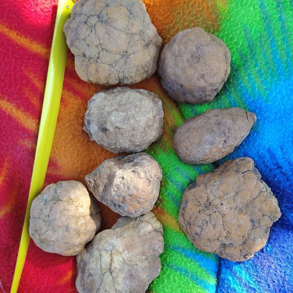 Geodes - Picture 5 of 5